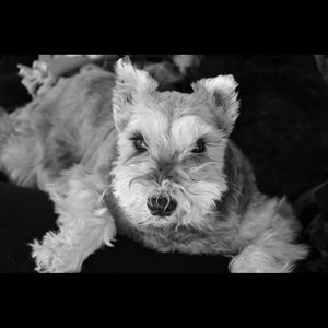 Meet your Posher, Tamara